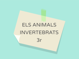 ELS ANIMALS INVERTEBRATS by Rocio González Cornejo