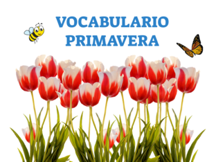 ESCRIBE CON EL TECLADO Y ADIVINA QUÉ ES by Angela Bravo Sobrino
