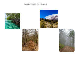 Ecosistemas en Peligro by Karoll