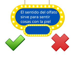 El cuerpo humano by Laura Senuar