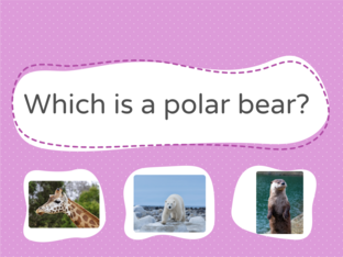 Endangered animals by Ivy Zhang