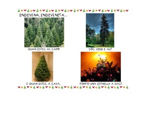 Endevinalles by Lídia Mendoza