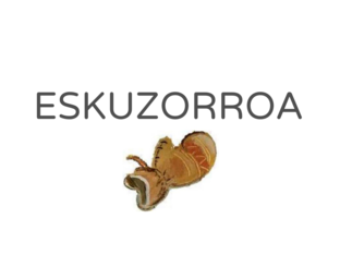 Eskuzorroa - Hizkiak by Maialen Erviti