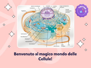 Esplorando la Cellula by Giovanni