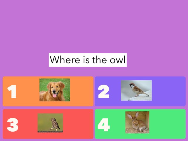 Example by Pradhi Deshmukh