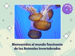 Exploradores de Invertebrados by Javier Hueso