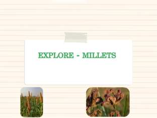 Explore-Millets by gps murugu
