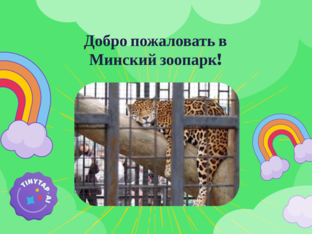 Explore Minsk Zoo by Tatiana Ibraghimova