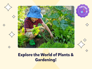 Explore Plants & Gardening by Tiana Spurling