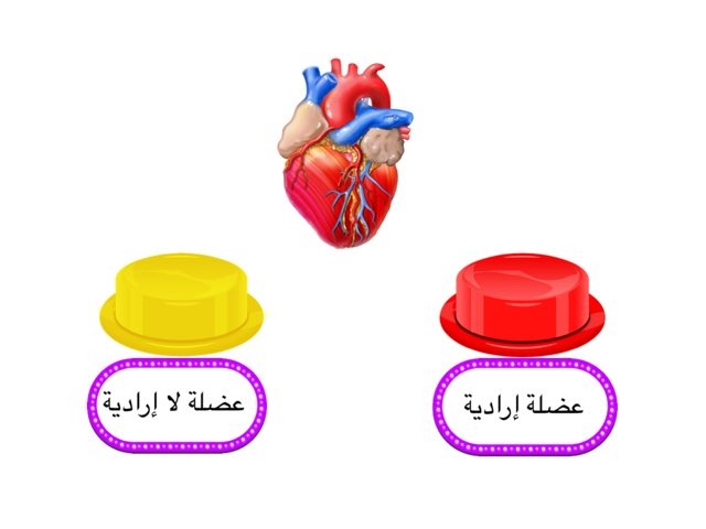 Huhuh by Noura Alshrifi