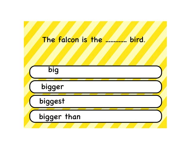 Choose by Nasreen Fathi