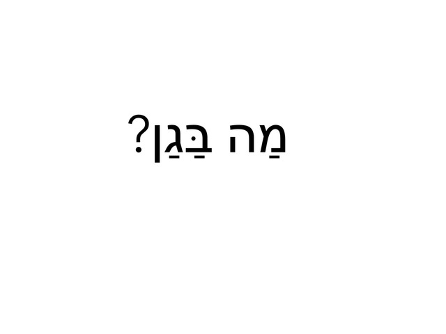 ‏מה בגן? by Ofra Guy