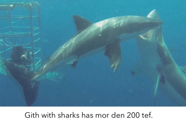 Shark by Heather Russell