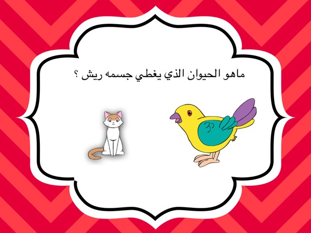 لعبة 15 by Abeer aAlmutairi