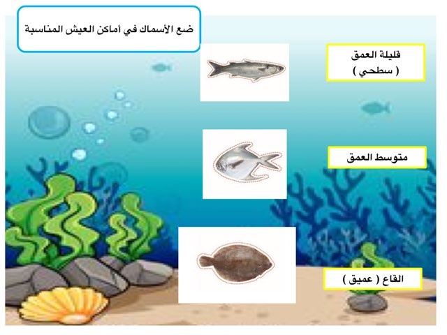 أشكال الأسماك by abla ohoud