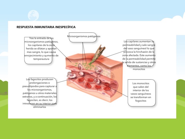 Puzzle De Biología by Mario Toribio