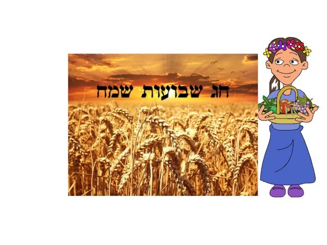 חג שבועות by Natali Rachman