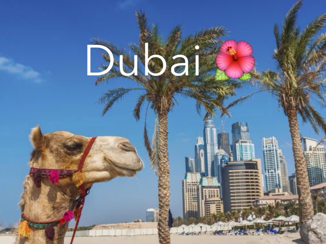 Best Dubai Project  by Melissa  Perez