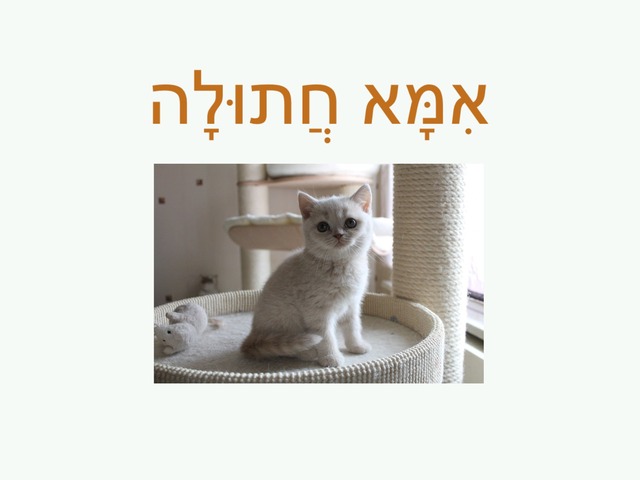 אמא חתולה by מוריה אגליהו