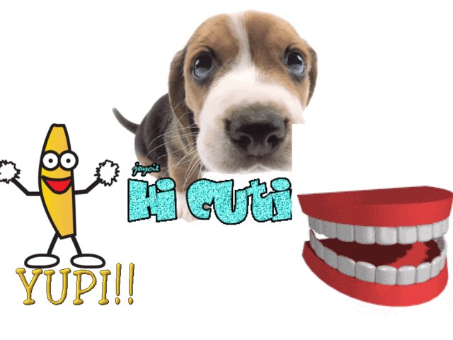 Encuentra Y Escribe by Lois