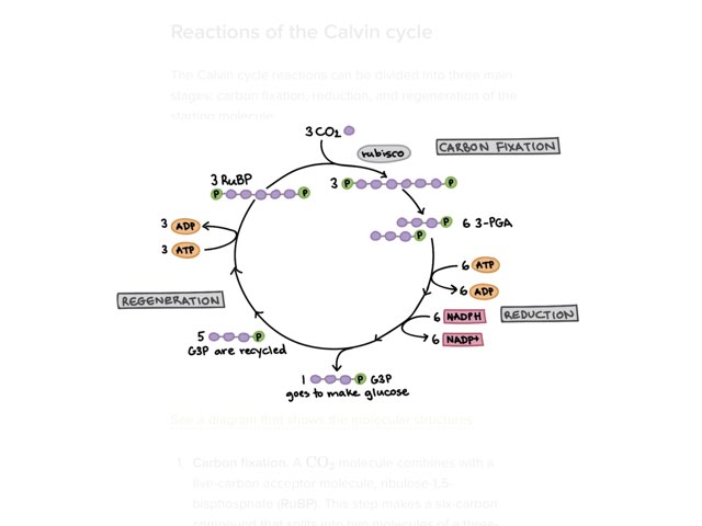 Game by Joshua Copsey