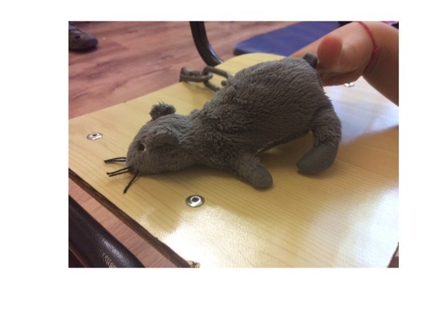 עכבר ותפוח נתנאל by Marina Brin