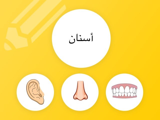 التصور البصري
 by Zainab Ali