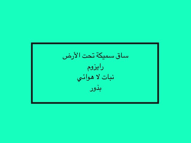 لعبة 12 by Lujayn Kh