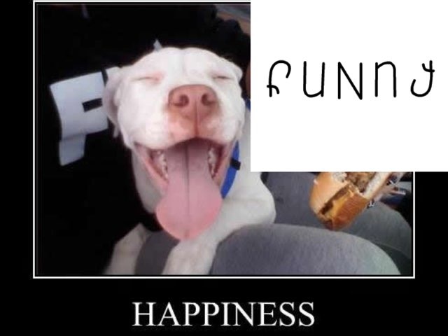 Funny  by M&M Swag Team