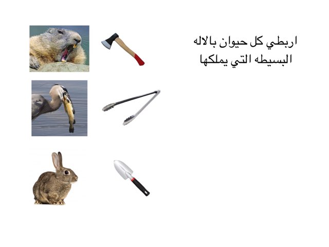 لعبة الالات البسيطة by abla ohoud