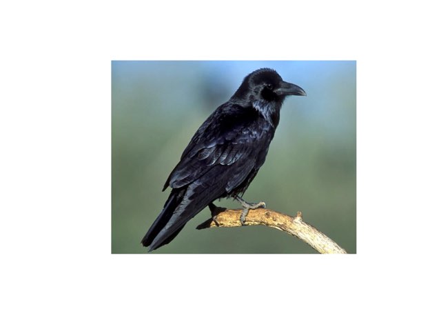 درس  by Khlod Mugarry