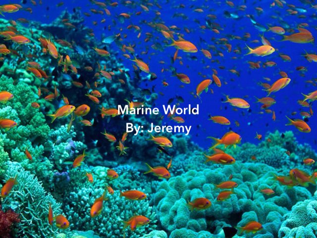 Ocean By Jeremy  by Morah Alex