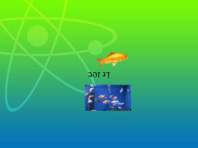 משחק 58 by נהרה אפשטין