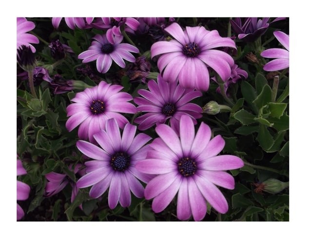 Jogo 6 by Isabelly Moura