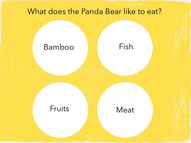 Open Doors - Bilingual 2 by Giovanna Padroni