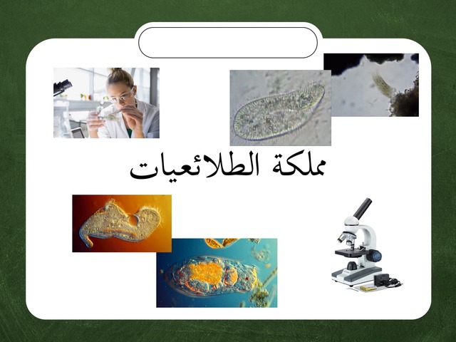 مملكة الطلائعيات by رغد سلاغور