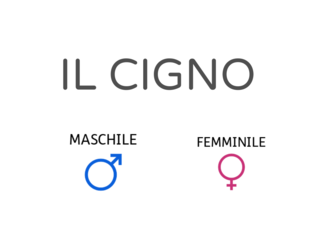FEMMINILE E MASCHILE NOMI by Carla Del Conte