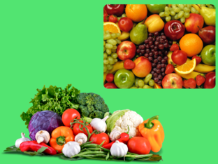 FIND AND GUESS by Darja Pelko