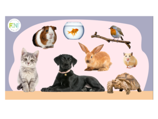 FONTITOS - PETS by Flavia Ontiveros