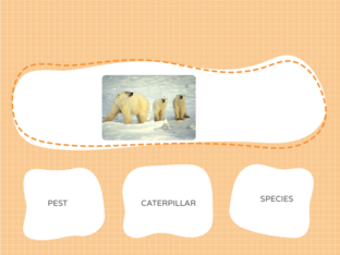 FOOD CHAIN#1 by Nayelli Reyes Alpuche