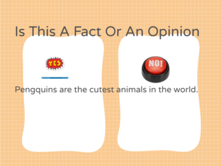 Fact And Opinion by Kanara Gordon