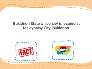 Fact or Opinion by Nanette Ann Baldelobar