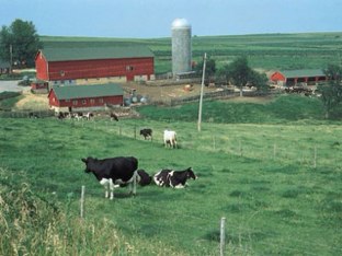 Farm by Lydia Väätäinen