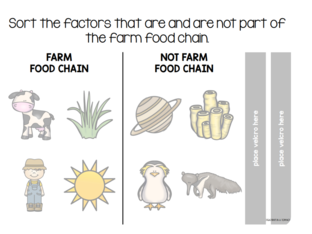 Farm Food Chain Sort by Grace