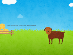 Ferma  animalelor by ionela