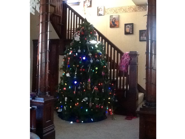 Find It by Janet rohlf