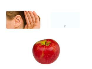 Find and touch the ears by Ariana Zavala