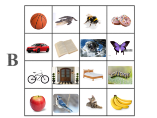 Find letter B  by Lunar