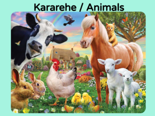 Find the Kararehe / Animals by Adelle Porteous
