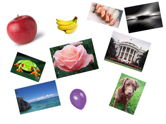 French Colors by Katie Ann